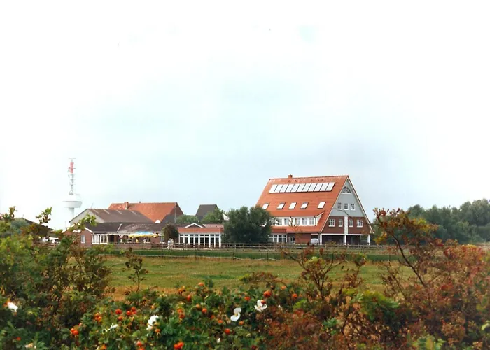 Nige Hus