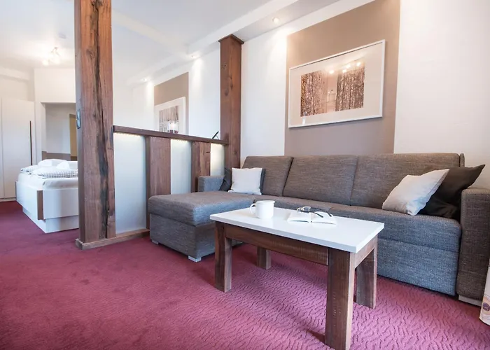 Hotel Nige Hus 4*